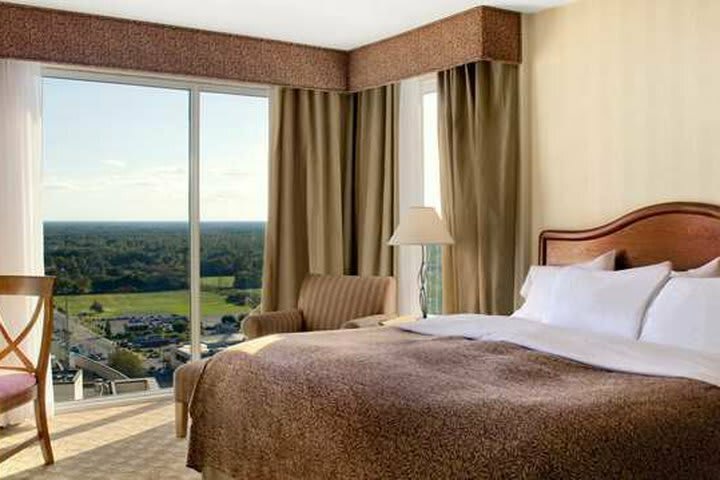 Hilton Hotel And Suites Niagara Falls/fallsview