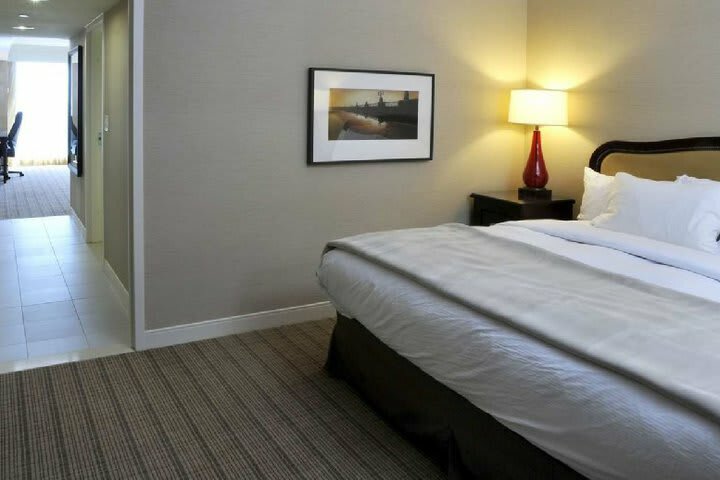 Hilton Hotel And Suites Niagara Falls/fallsview