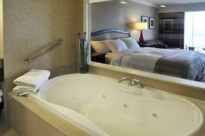 Hilton Hotel And Suites Niagara Falls/fallsview