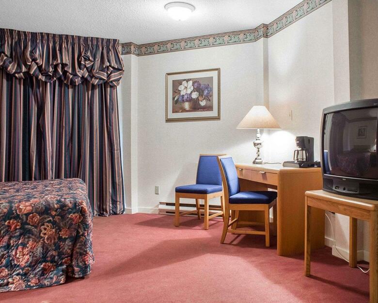 Hotel Econo Lodge By The Falls