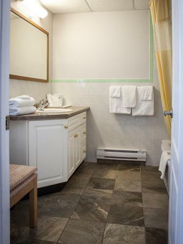 Hotel Villager Lodge Niagara Falls