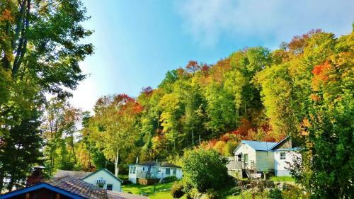 Silver Springs Cottage Resort