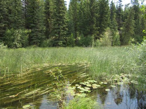 Seawood Bed & Breakfast & Cabins