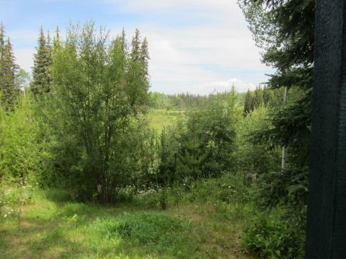 Seawood Bed & Breakfast & Cabins