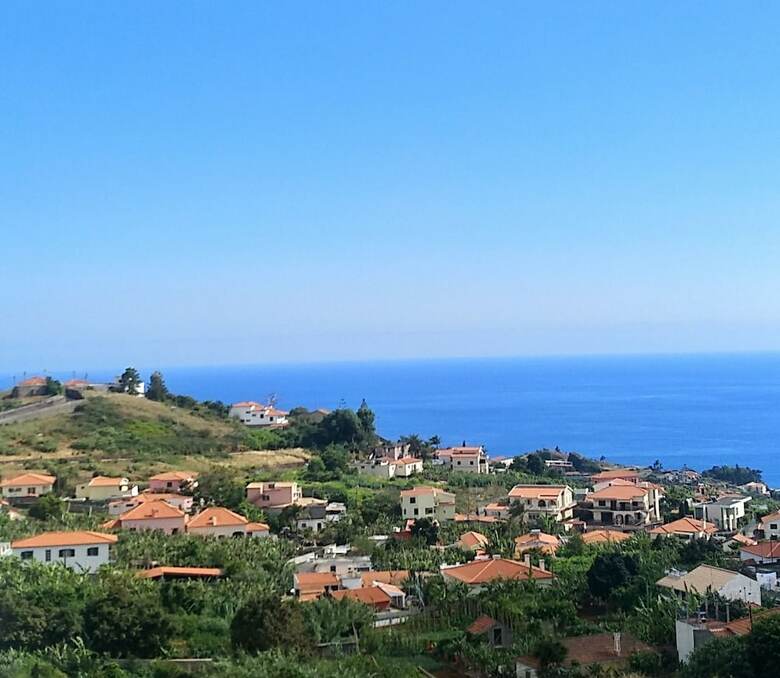 Funchal Apartment With Private Terrace