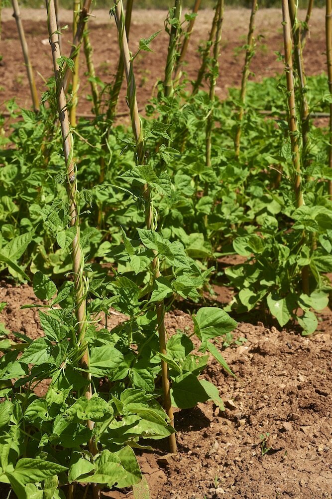 Hotel Rural Quinta Do Marco