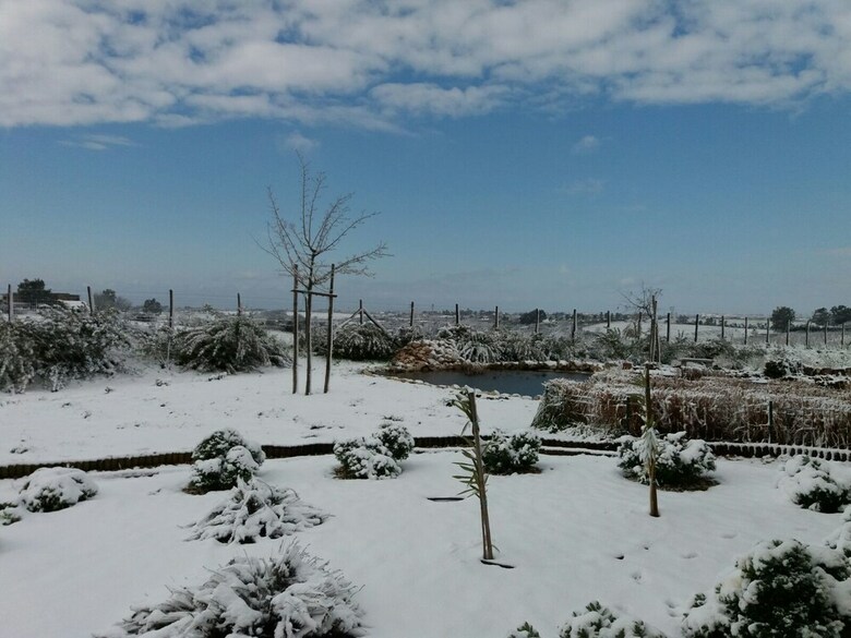 Bed & Breakfast La Collina Delle Fonti