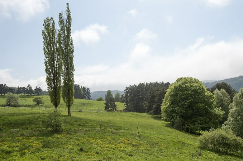 Bed & Breakfast Le Moulin Malin