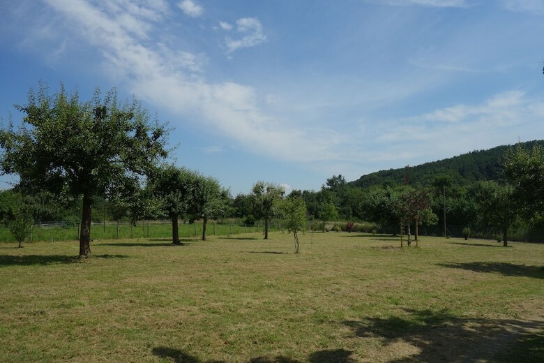 Apartamentos Das Bienenhaus
