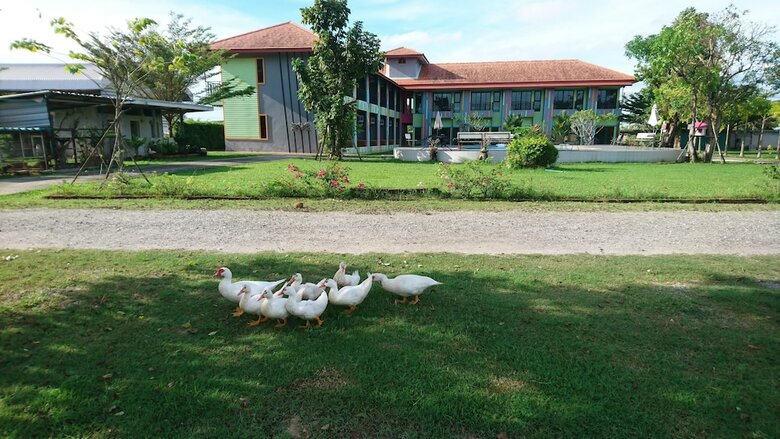 Hotel Madoony Resort