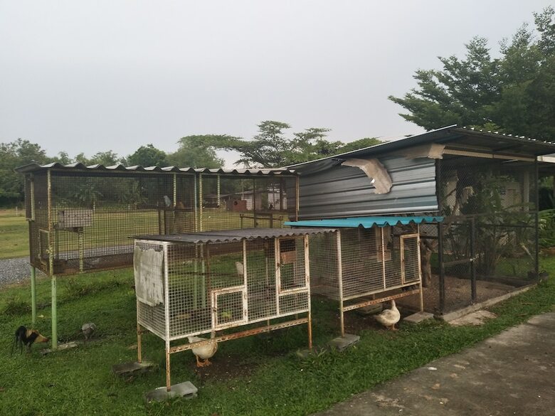Hotel Madoony Resort
