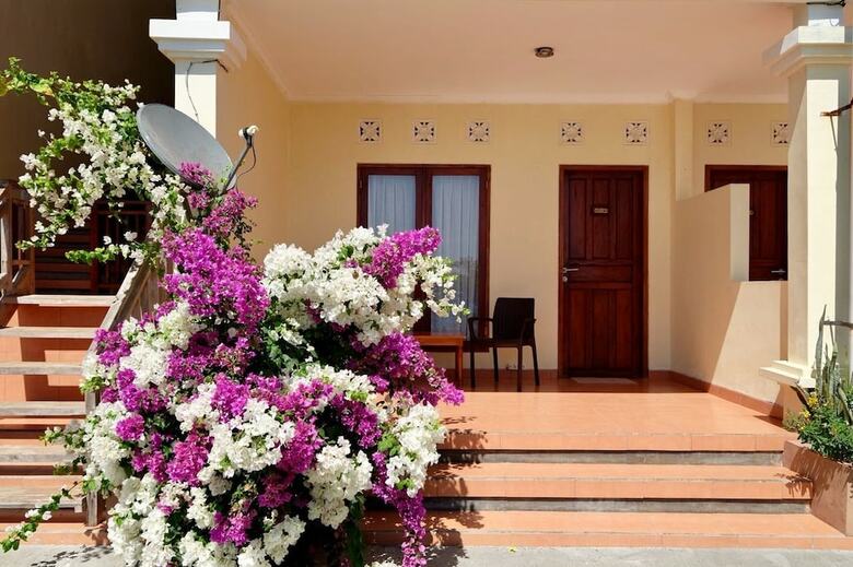 Bed & Breakfast Mario Hotel And Cafe