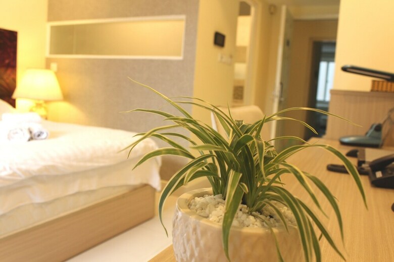 Palms Garden Hotel Near Secc