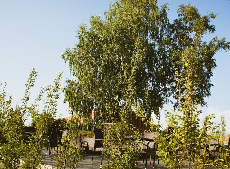 Zaliasis Slenis Hotel