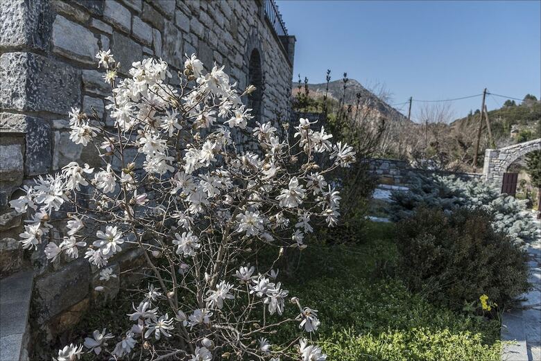 Villa Stone Mansion Anavryti