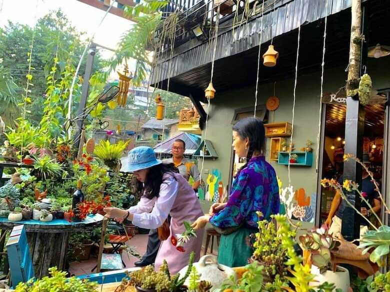 Hostal Check In Sapa Hostel And Coffee