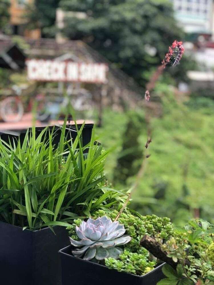 Hostal Check In Sapa Hostel And Coffee
