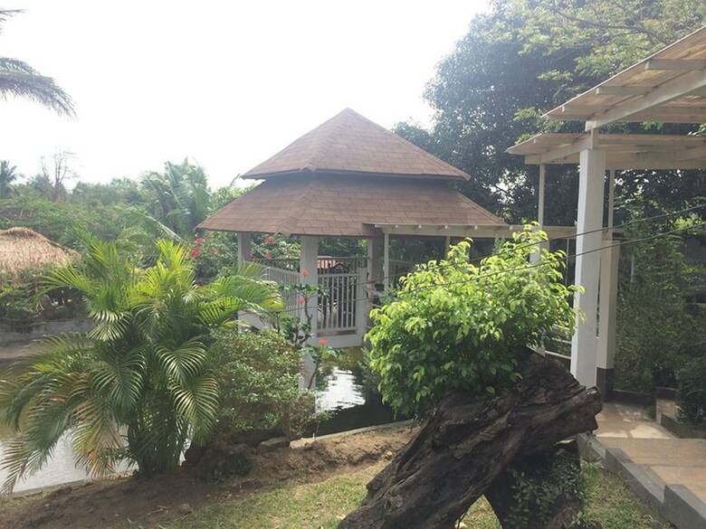 Hotel Rex Habitat And Cultural Display Area