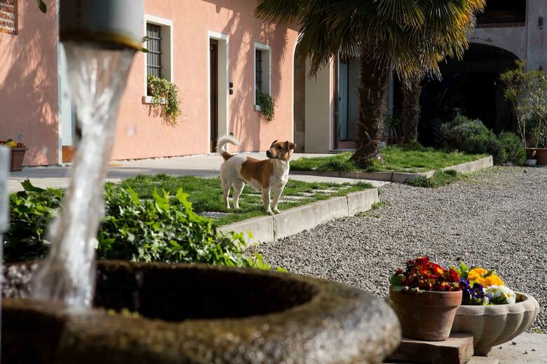 Agroturismo Tenuta Valtoppa