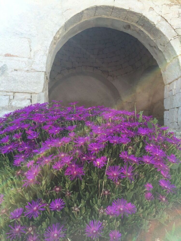 Agroturismo Masseria Pilano