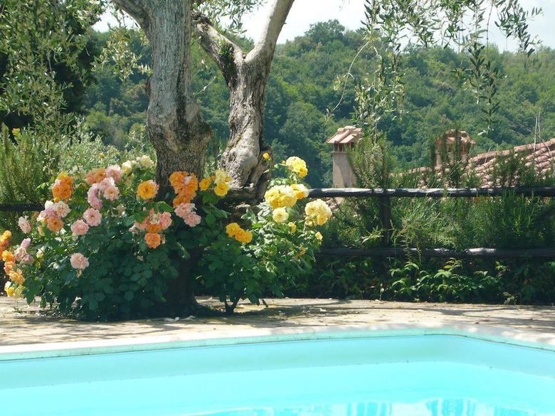 Apartamento Podere Oliveta