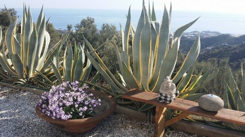 Campo Agave - Boutique B&B En Glamping