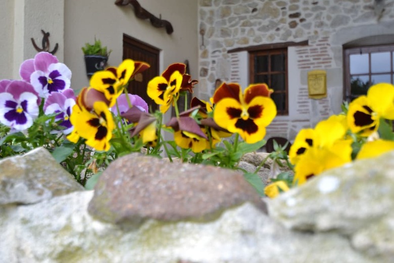 Hotel Maison D'h�tes Les Gravets