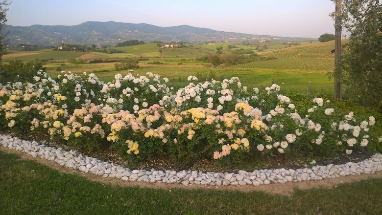 Agroturismo Agriturismo Spazzavento