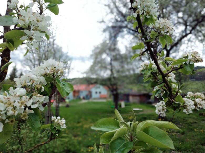 Apartamentos U Svat�ho Petra