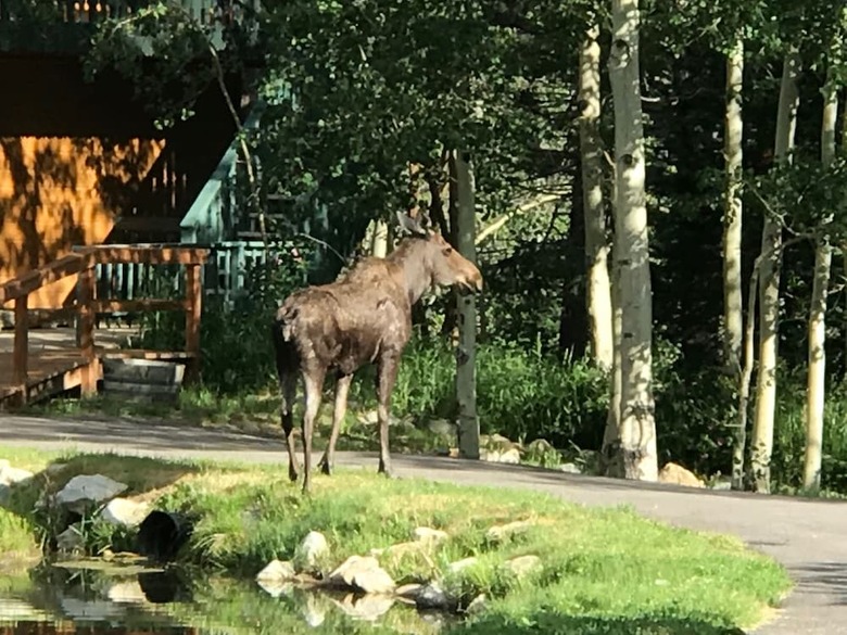Posada Riverside Lodge & Retreat
