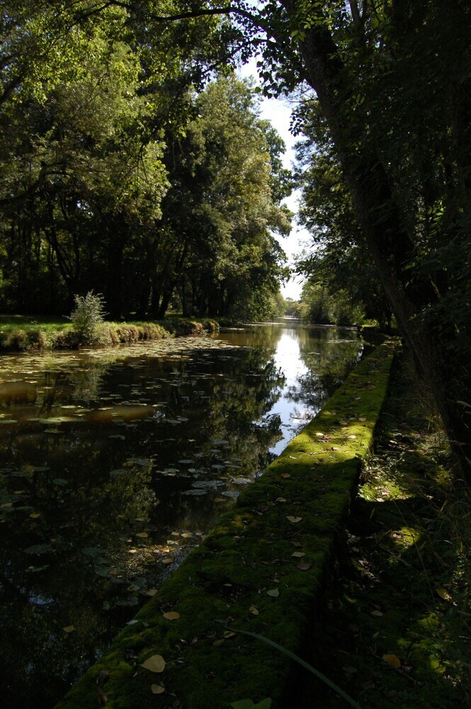Bed & Breakfast Chambres D Hotes Moulin de Chere