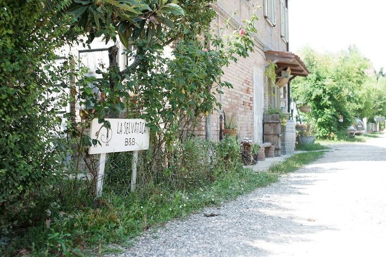 Selvatica50 B&B