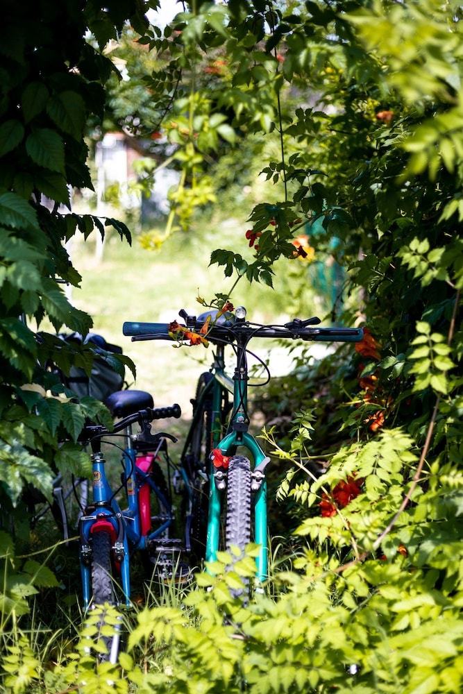 Selvatica50 B&B