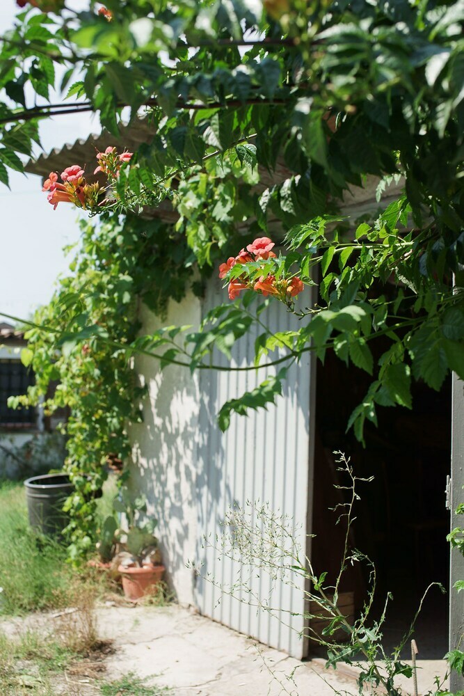 Selvatica50 B&B