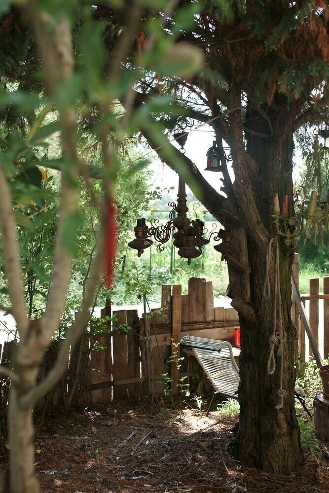 Selvatica50 B&B