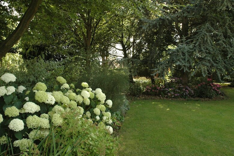 Bed & Breakfast La Coulonniere