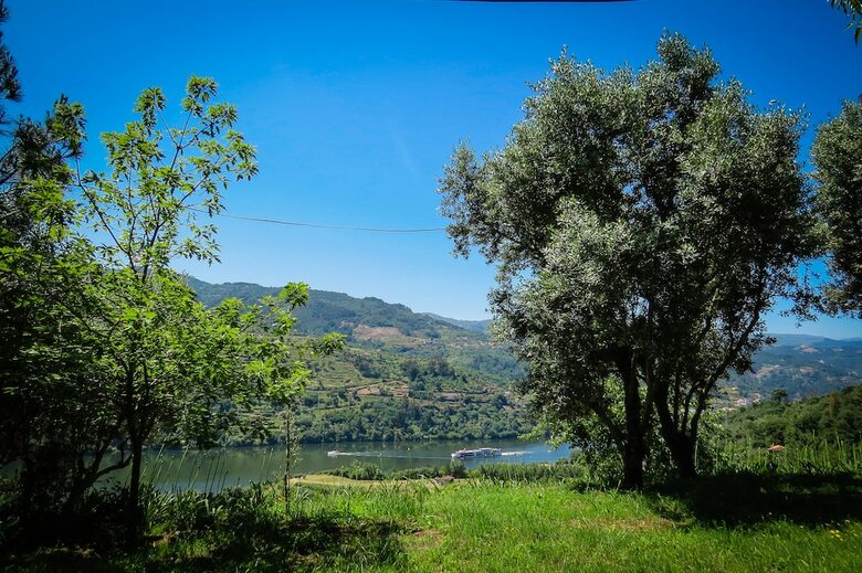 Casa Da Mouta - Douro Valley