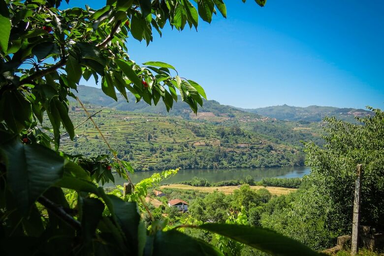 Casa Da Mouta - Douro Valley