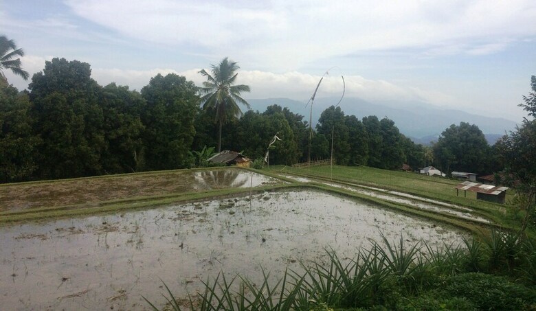 Hotel Puri Sangkih
