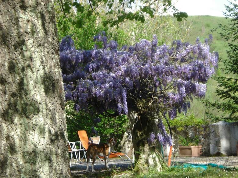 Agroturismo Casale La Fornace