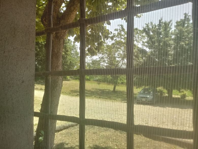 B&B Il Pittore