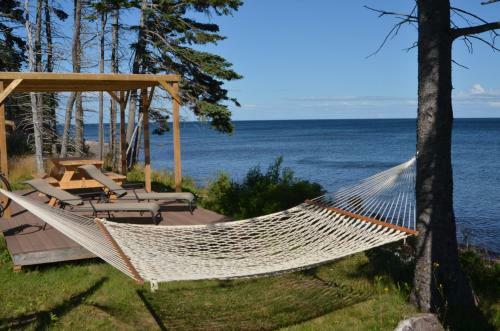 Hotel Sea Parrot Ocean View Manor