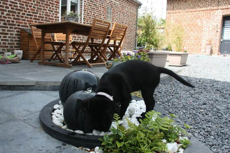 Bed & Breakfast Comme Un R�ve