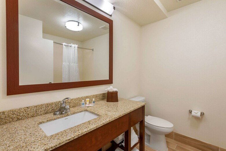 Hotel Comfort Suites Downtown