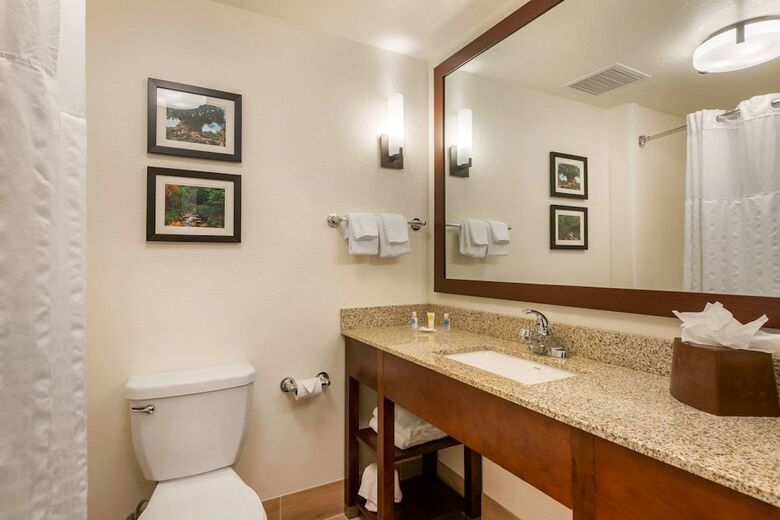 Hotel Comfort Suites Downtown