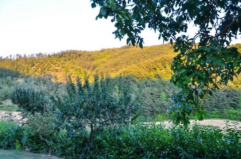Agroturismo Agriturismo Cailuca