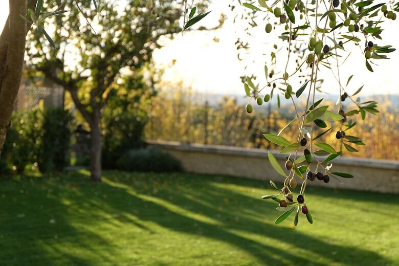 Hotel La Rocca Guest House & Spa