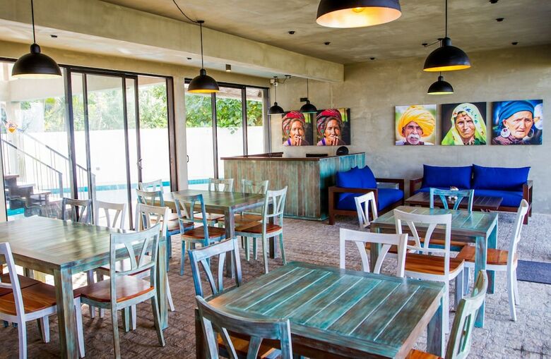Hostal Lazy Koala Hostel - Adults Only