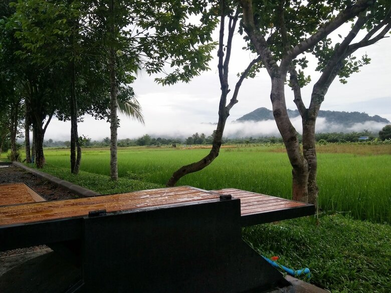Hotel Satun Premium Resort
