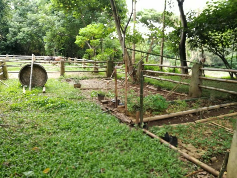 Hotel Middle Path Retreat